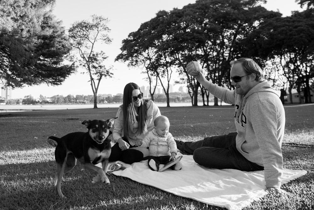 Foto Fotografia de Família no Parque Barigui com Pet - Imagem 2