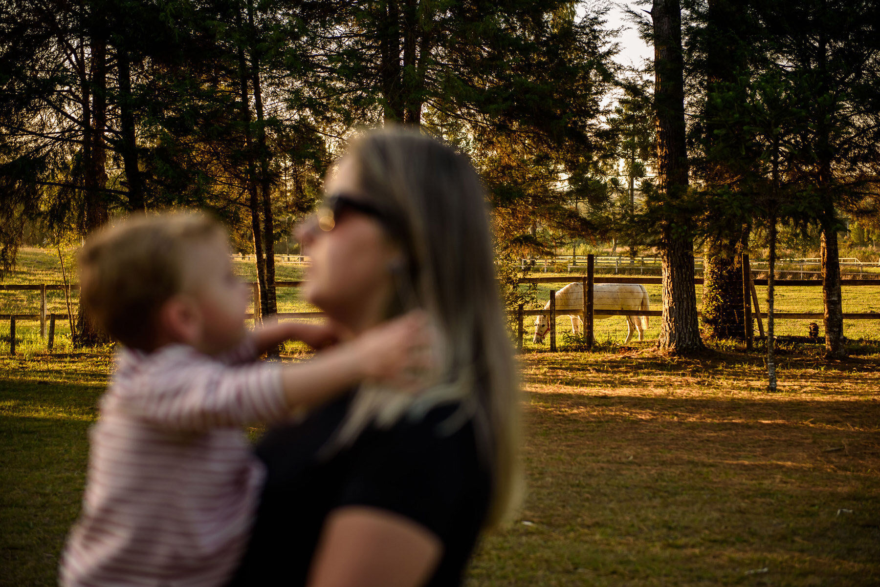 Foto Ensaio de Família na Colônia Murici - PR - Imagem 13